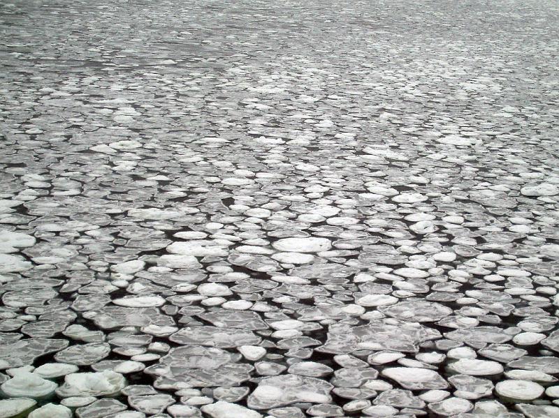 Pancake ice landscape 3.jpg - OLYMPUS DIGITAL CAMERA